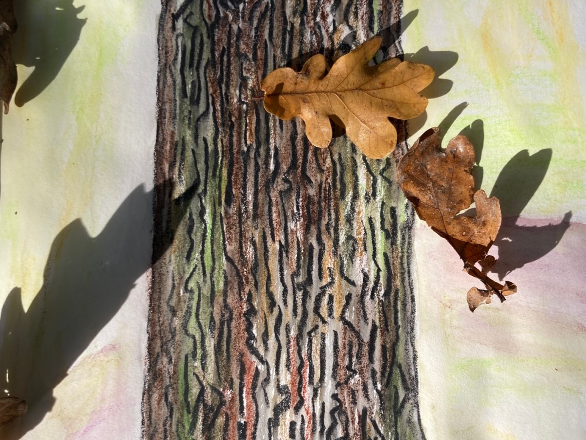 Un chêne au&nbsp;parc